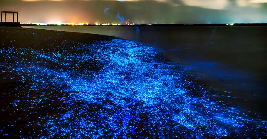 Mc! Travel: A Trip To Maldives